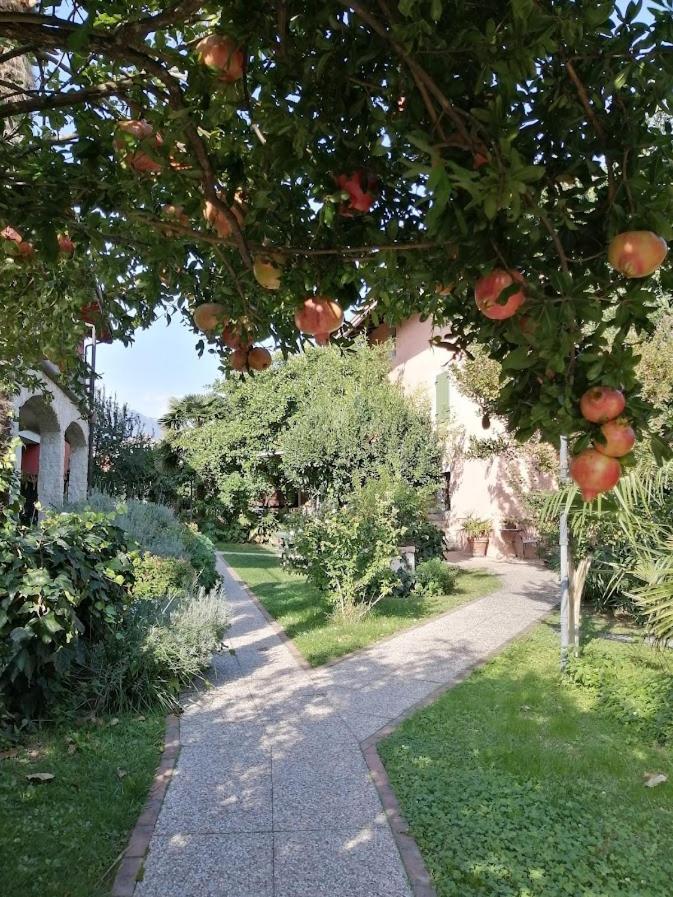 Al Rustico Hotel Torbole Sul Garda Екстериор снимка