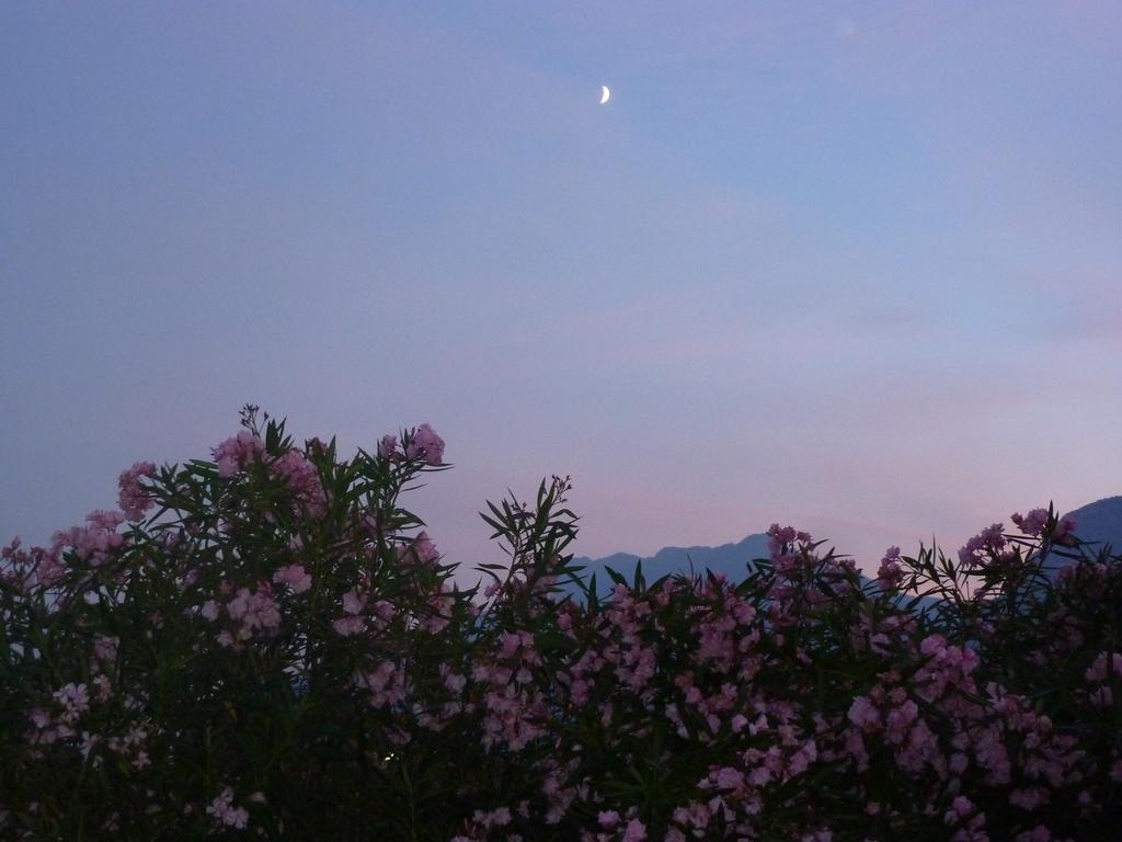 Al Rustico Hotel Torbole Sul Garda Екстериор снимка